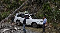 12-Some more assistance needed to manoeuvre under the fallen tree 